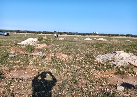 A Vendre terrain Hammamet Sud - Bien immobilier à {"id":16,"country_id":219,"name":"NABEUL","slug":"nabeul"} - Agence Immobilière immo\'in